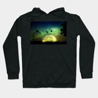 birds are free Hoodie